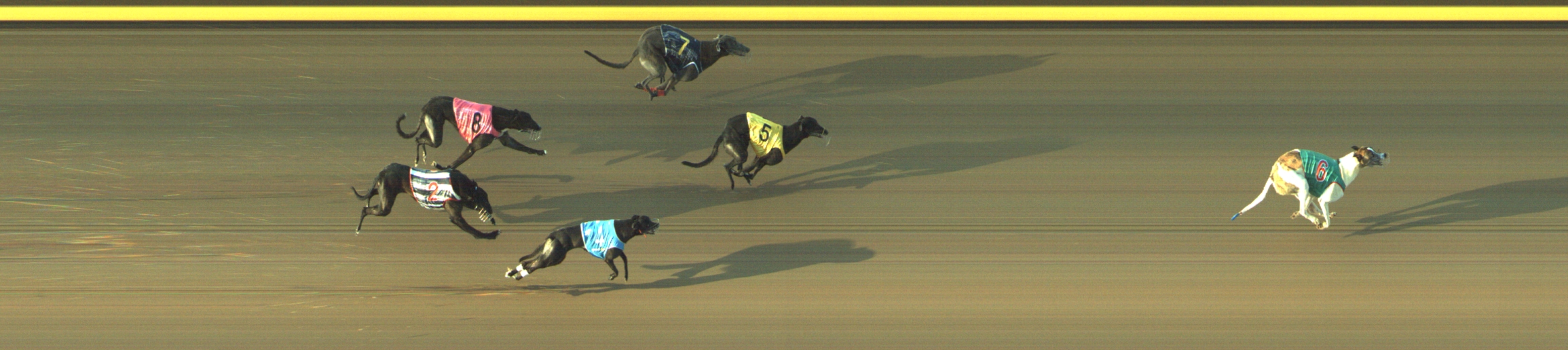 Photo finish for Geelong Race 13