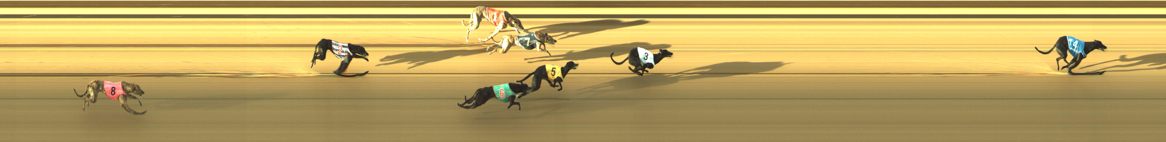 Race result finish photo