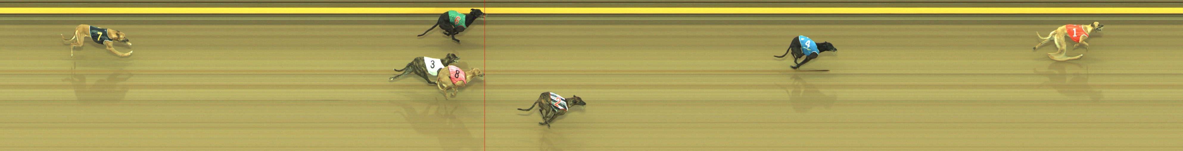 Photo finish for Geelong Race 2