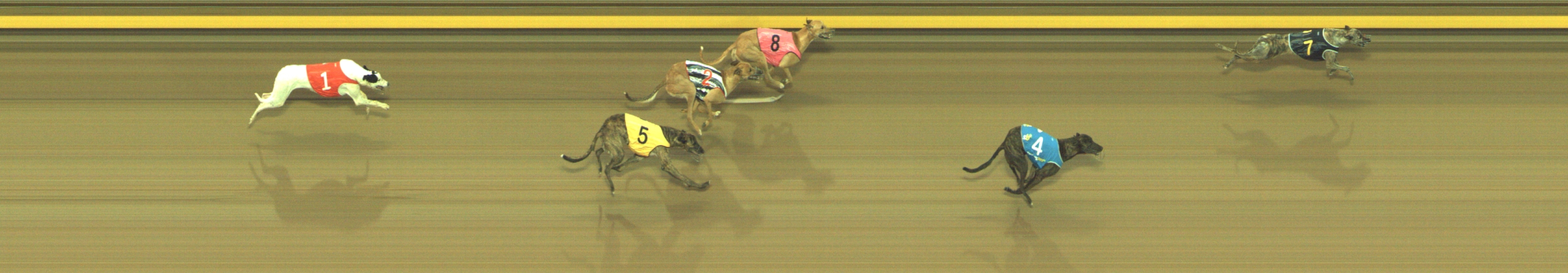 Photo finish for Geelong Race 3