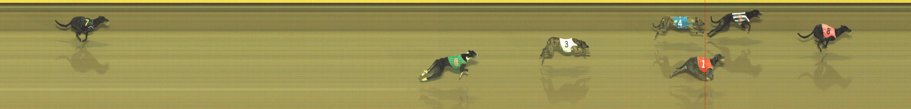 Photo finish for Geelong Race 4