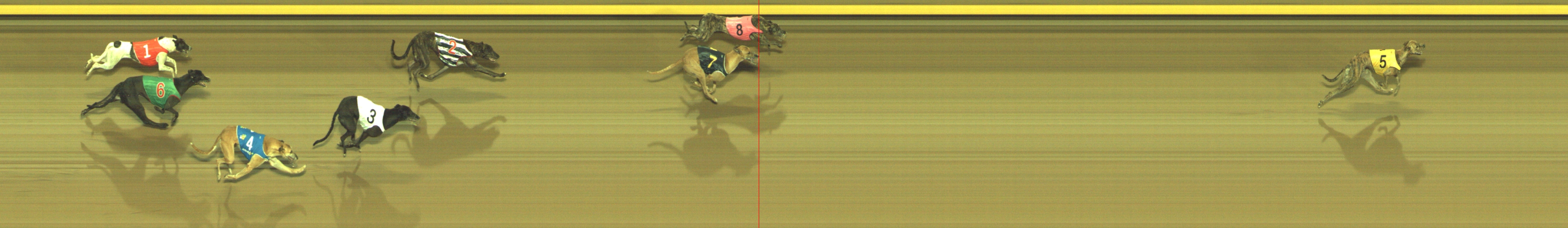 Photo finish for Geelong Race 5