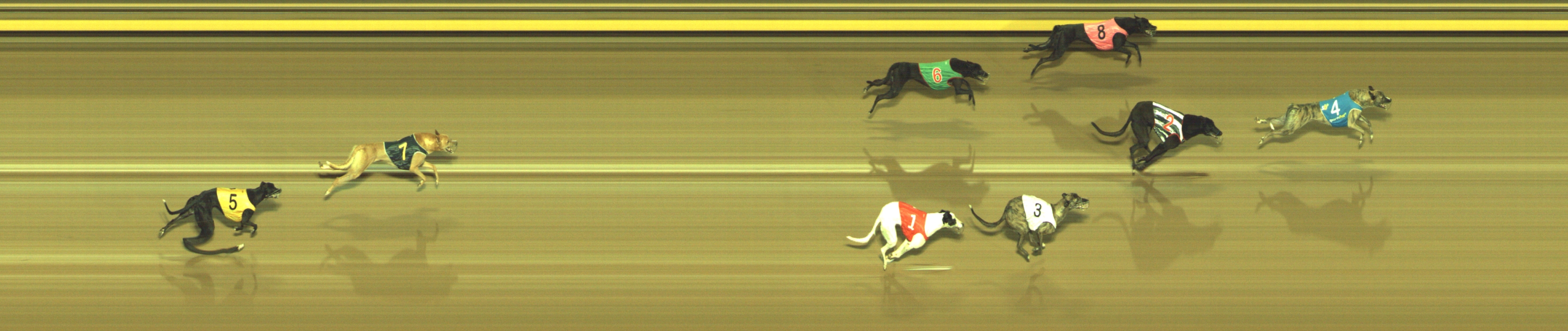 Photo finish for Geelong Race 6