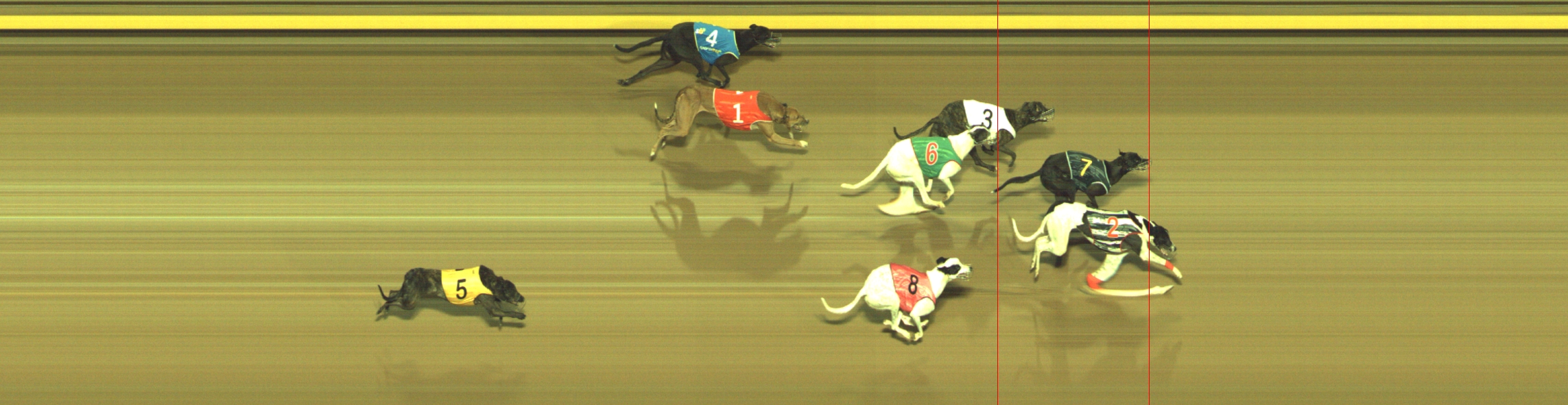 Photo finish for Geelong Race 7