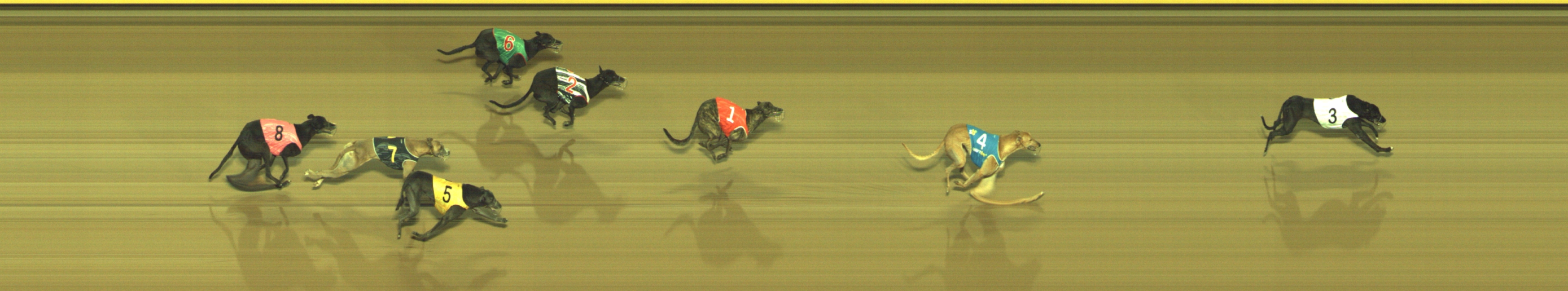 Photo finish for Geelong Race 8