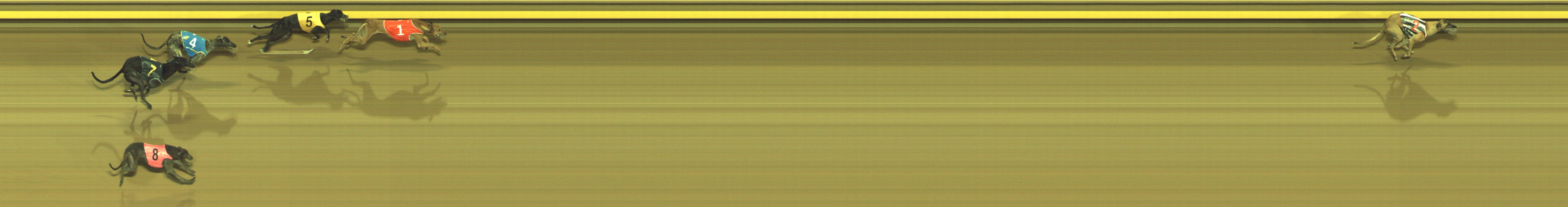 Photo finish for Geelong Race 9