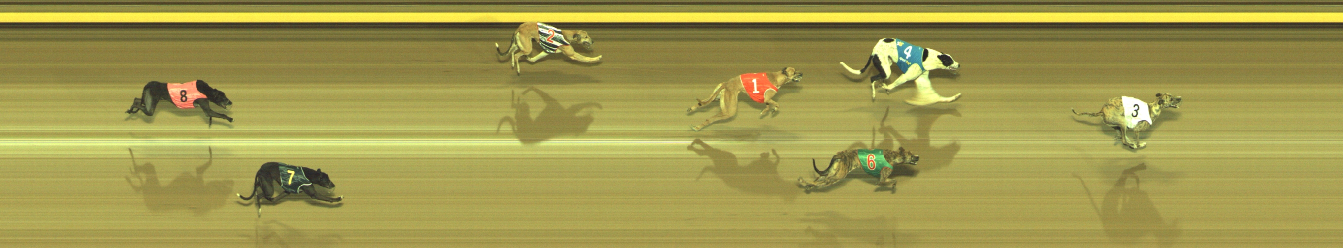 Photo finish for Geelong Race 10