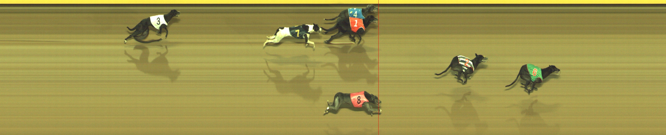 Photo finish for Geelong Race 11