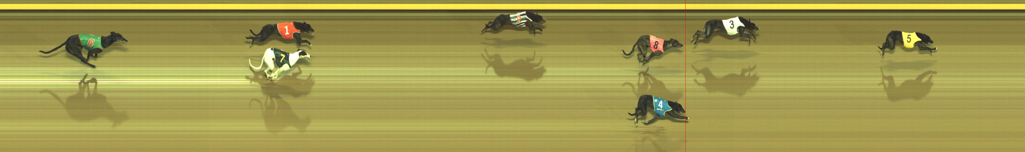 Photo finish for Geelong Race 12