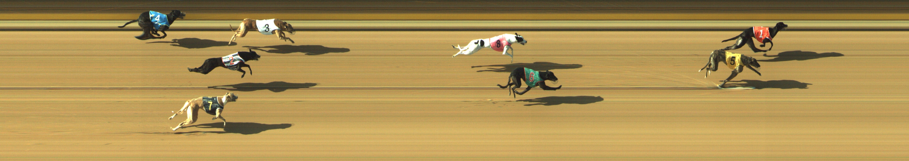 Race result finish photo