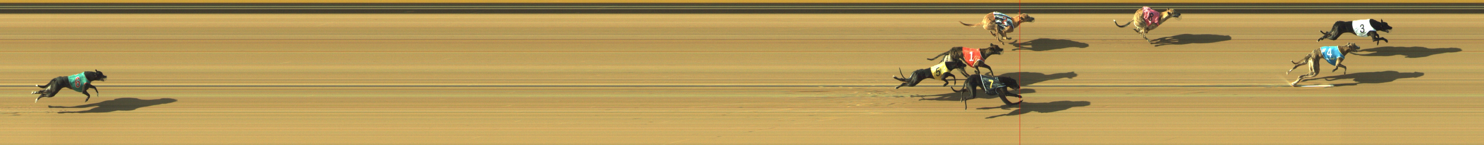Photo finish for Geelong Race 2
