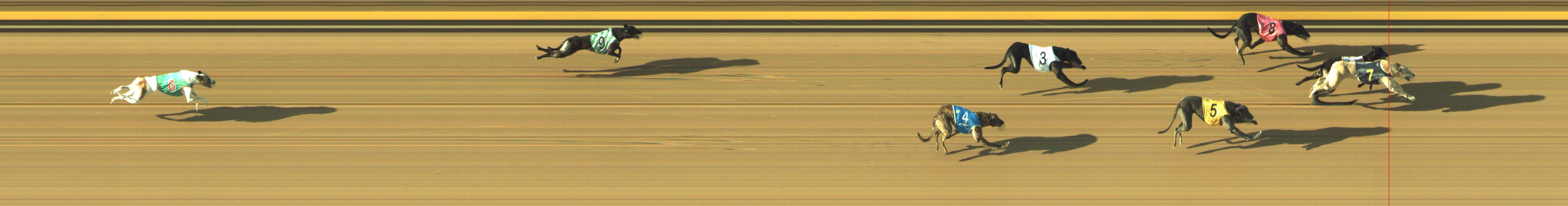 Photo finish for Geelong Race 3
