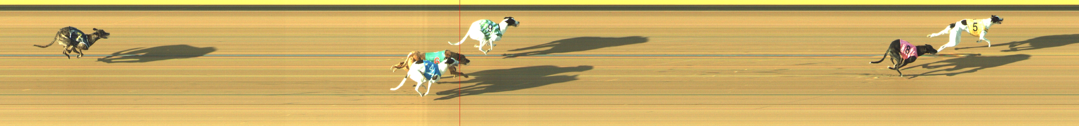 Photo finish for Geelong Race 4