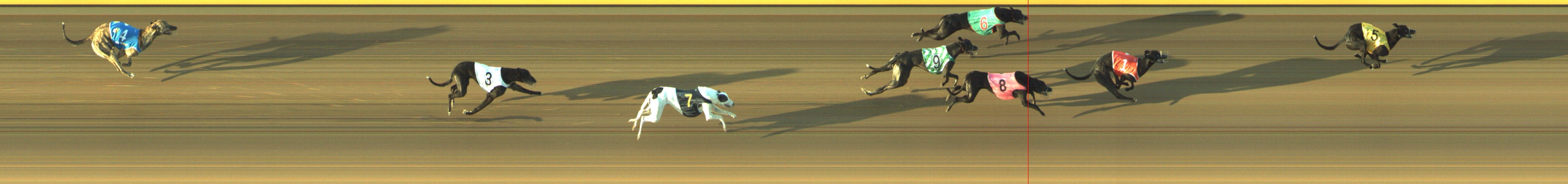 Photo finish for Geelong Race 5