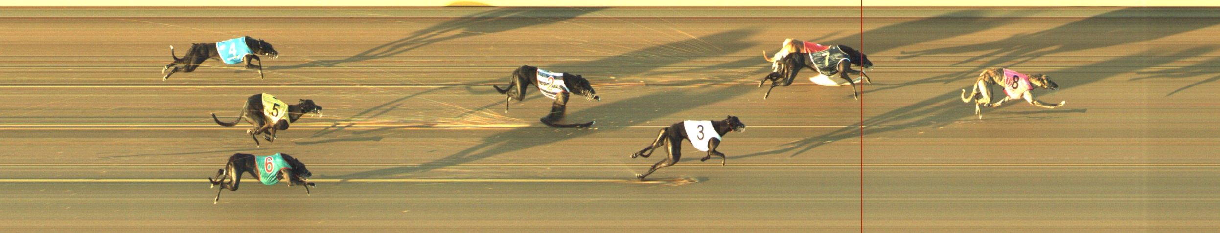 Photo finish for Geelong Race 6