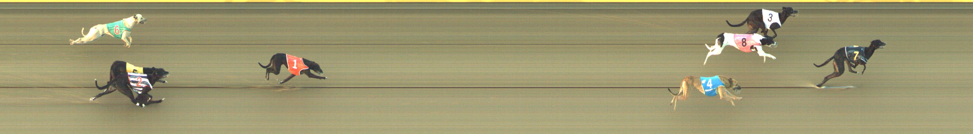 Photo finish for Geelong Race 7
