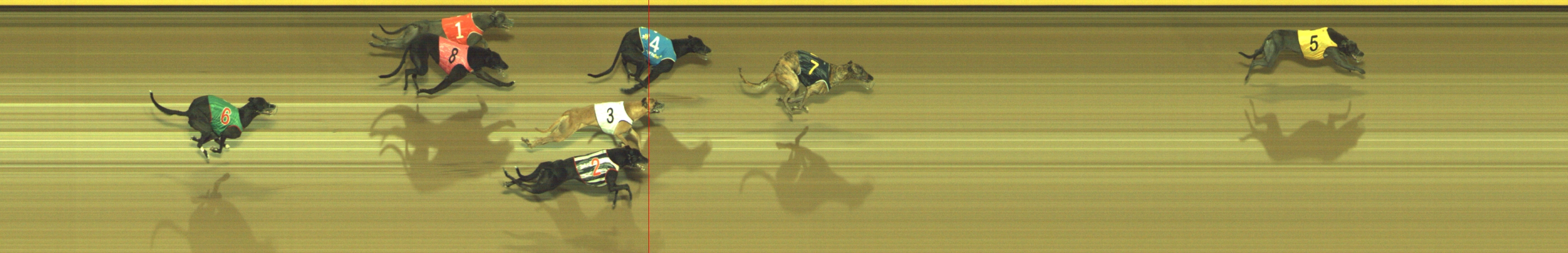 Photo finish for Geelong Race 8