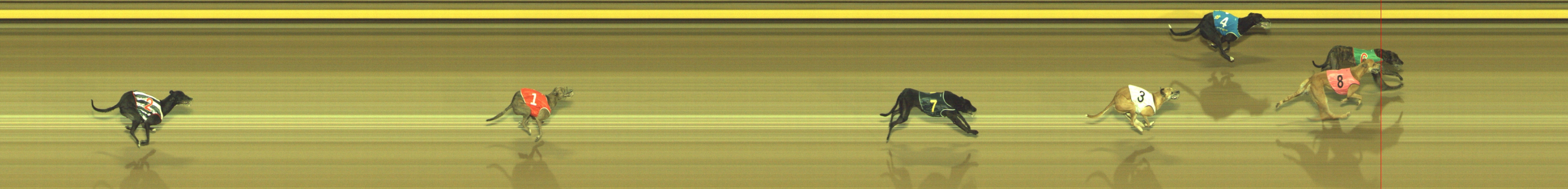 Photo finish for Geelong Race 9