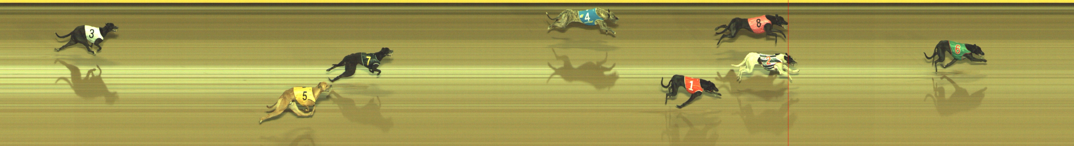 Race result finish photo