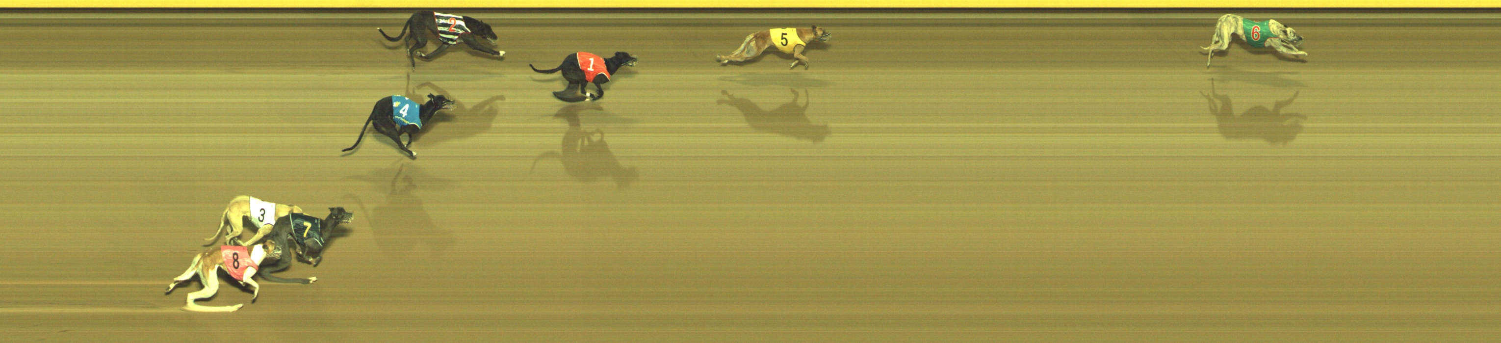 Race result finish photo