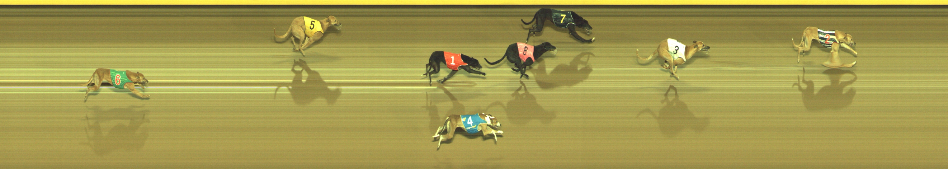 Race result finish photo