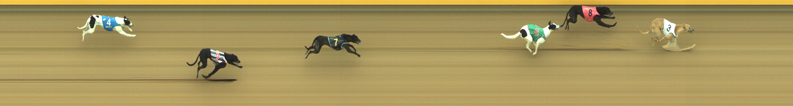 Race result finish photo