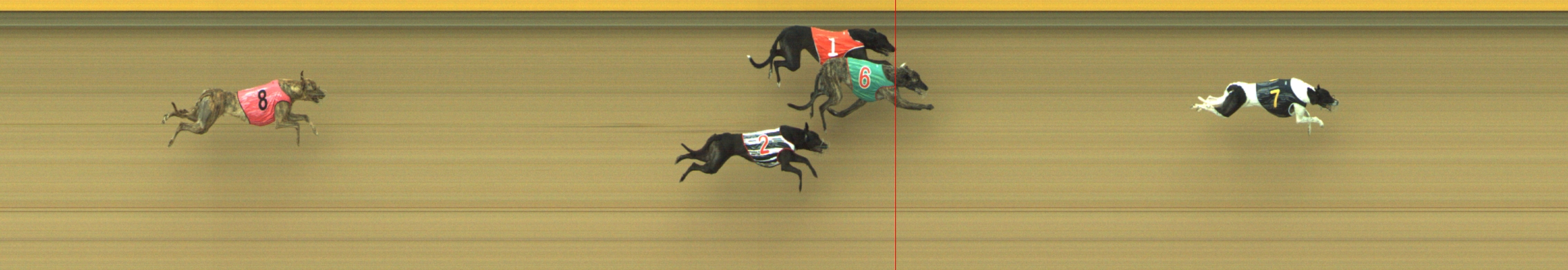 Photo finish for Geelong Race 2