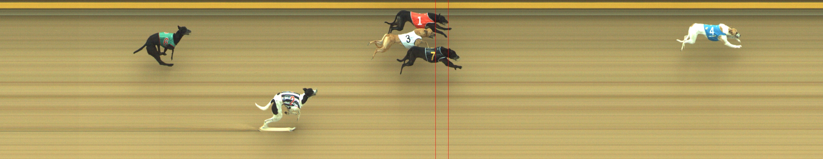 Race result finish photo