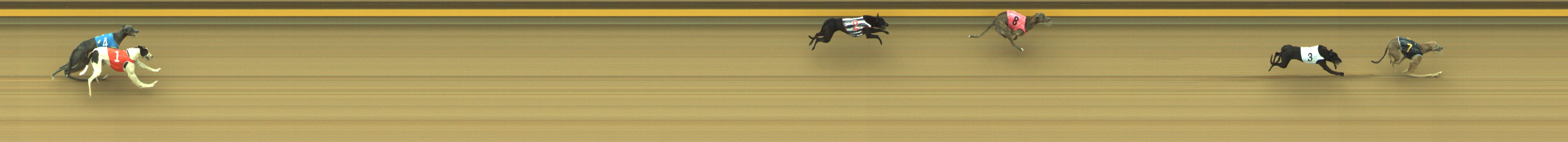 Race result finish photo