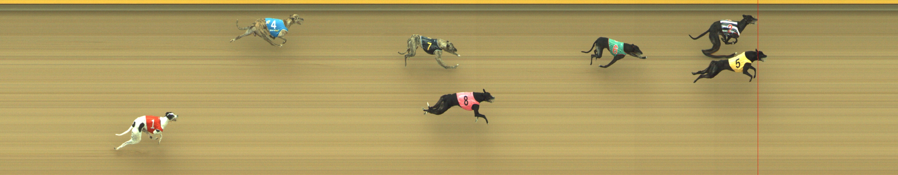 Race result finish photo