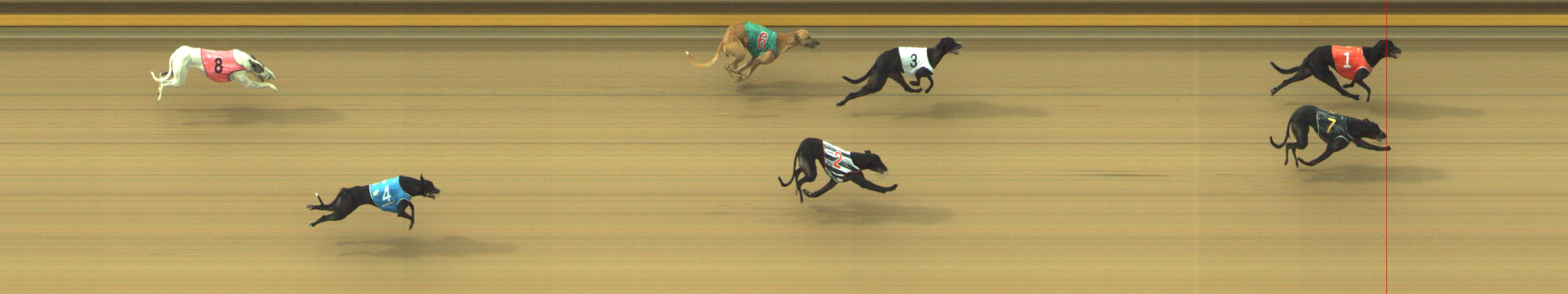 Photo finish for Geelong Race 8