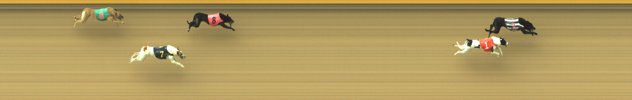 Photo finish for Geelong Race 9
