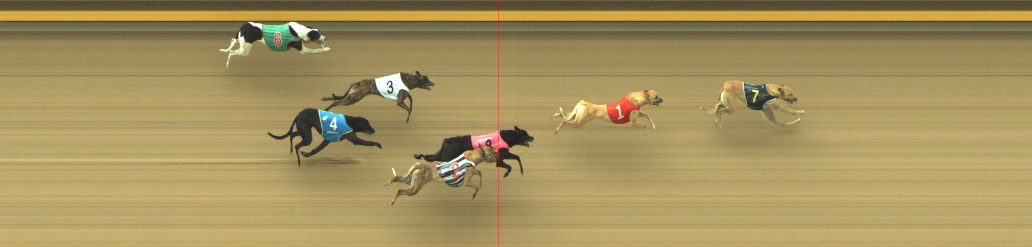 Photo finish for Geelong Race 10