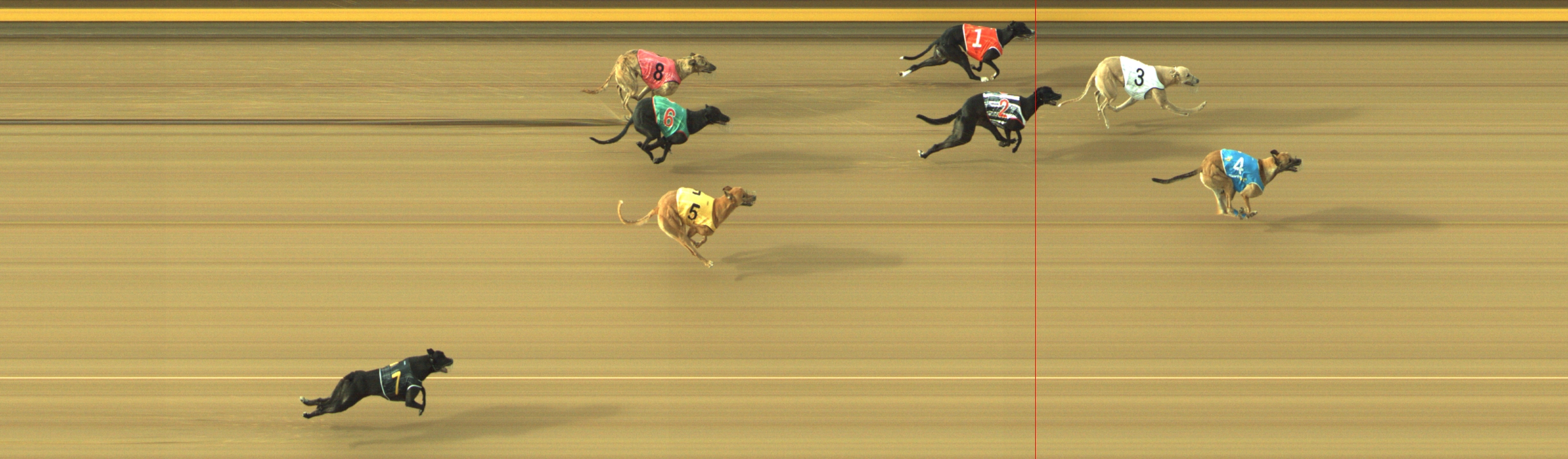 Photo finish for Geelong Race 11