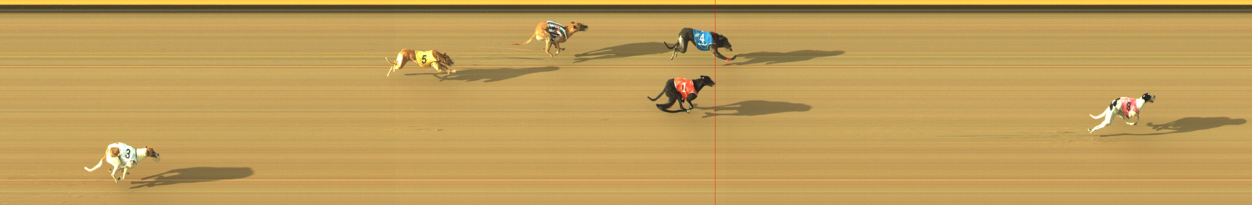 Photo finish for Geelong Race 12