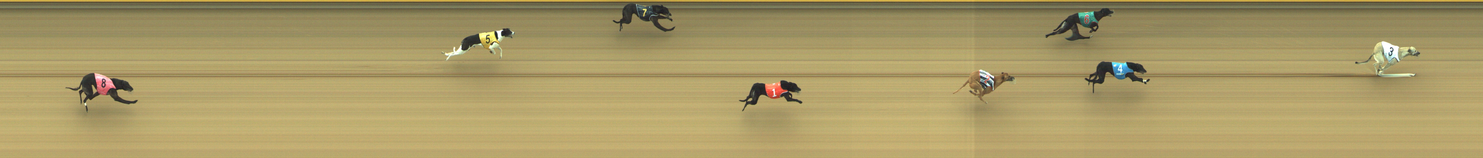 Photo finish for Geelong Race 13