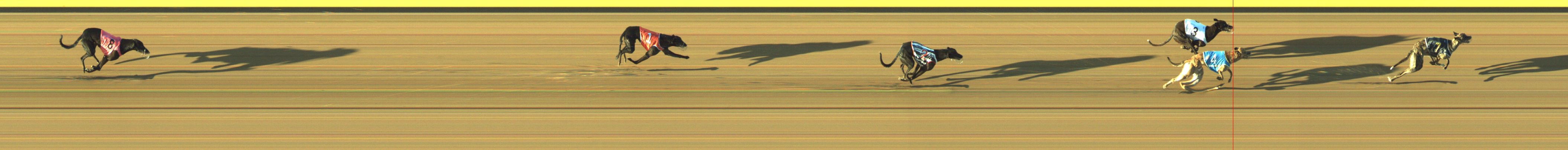 Race result finish photo