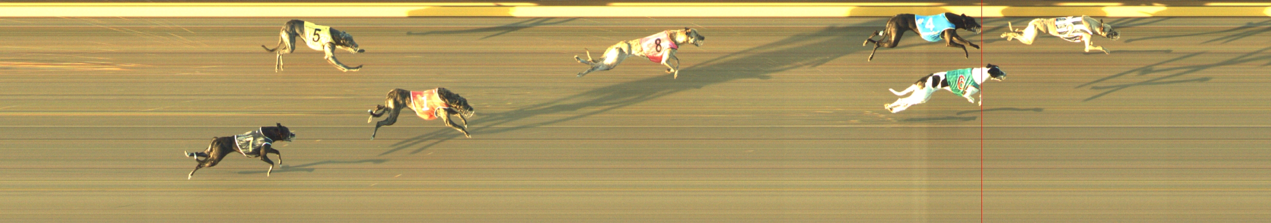 Photo finish for Geelong Race 3