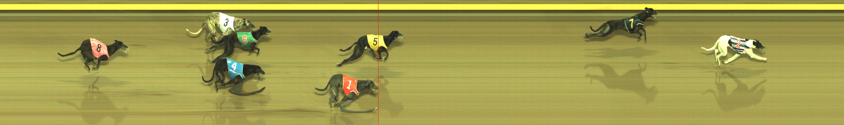 Photo finish for Geelong Race 4