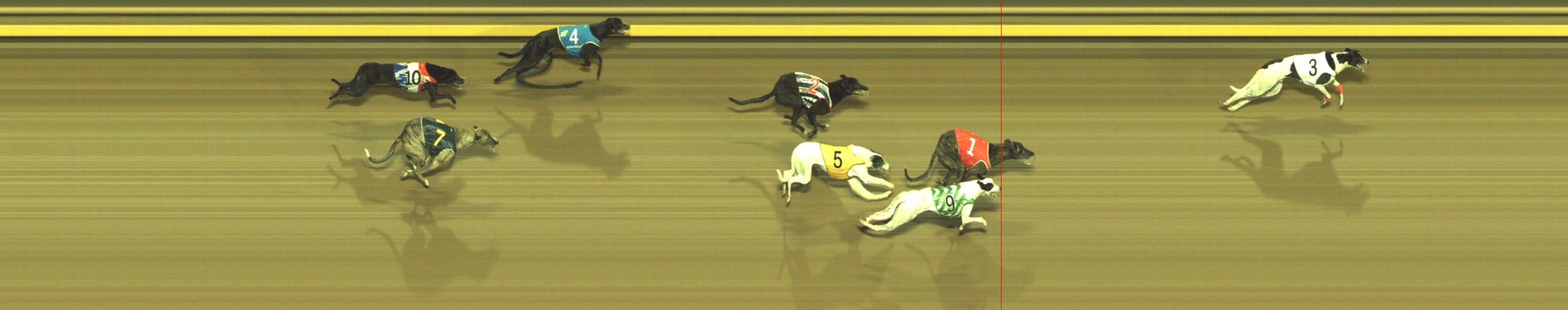 Photo finish for Geelong Race 5