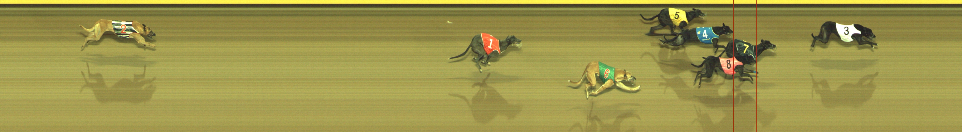 Photo finish for Geelong Race 6