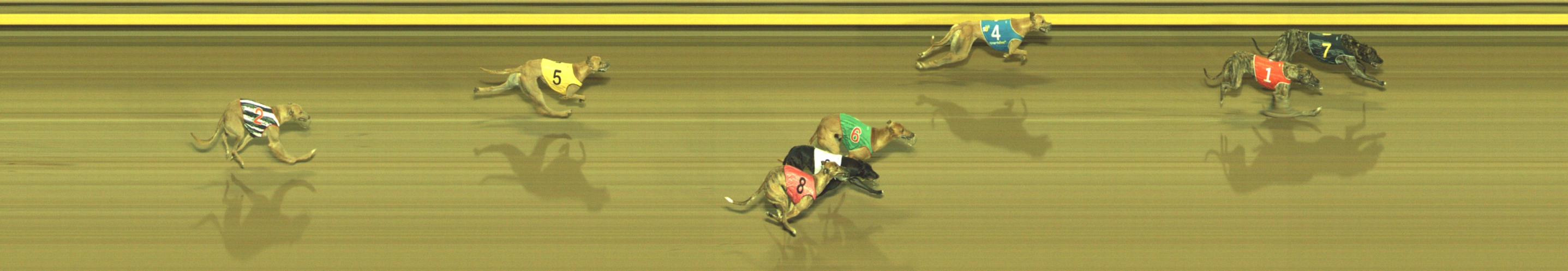 Photo finish for Geelong Race 7