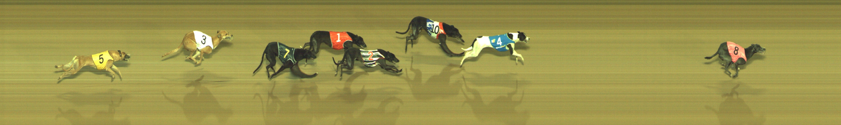 Photo finish for Geelong Race 8