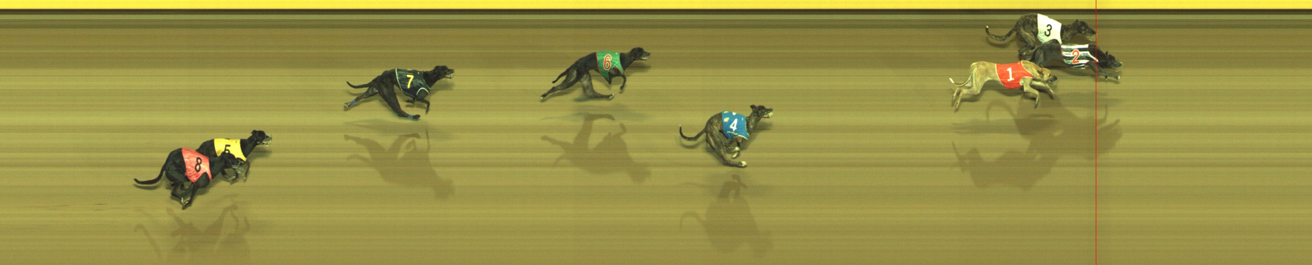 Photo finish for Geelong Race 9