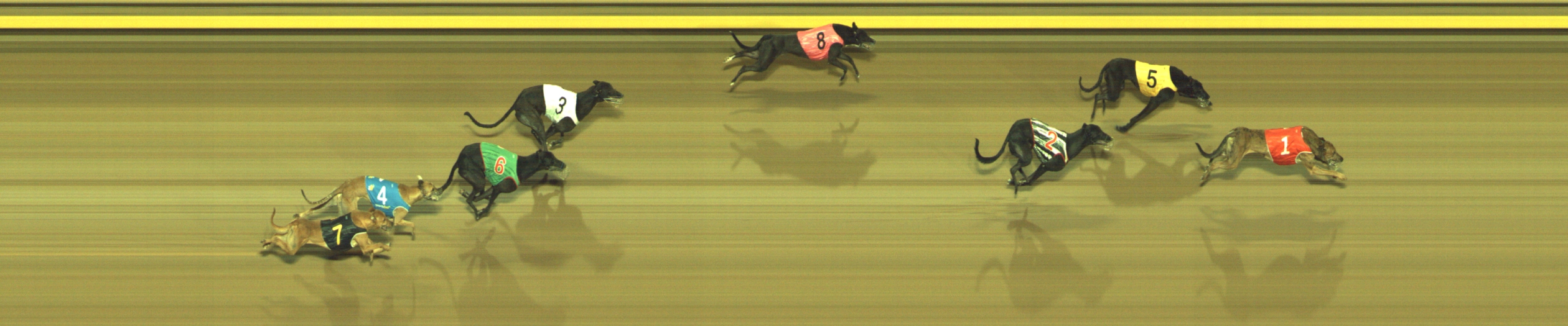 Photo finish for Geelong Race 10