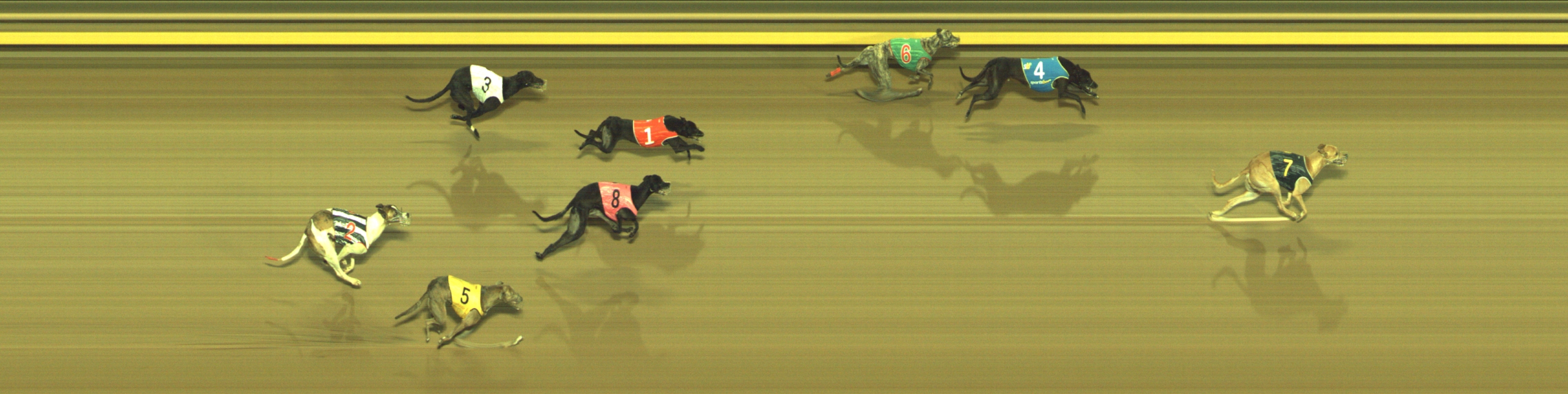 Photo finish for Geelong Race 11