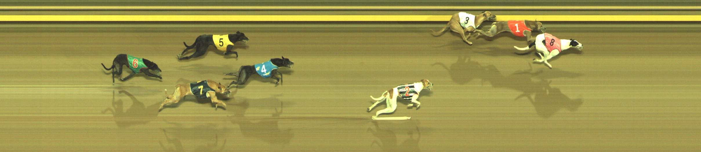 Photo finish for Geelong Race 12