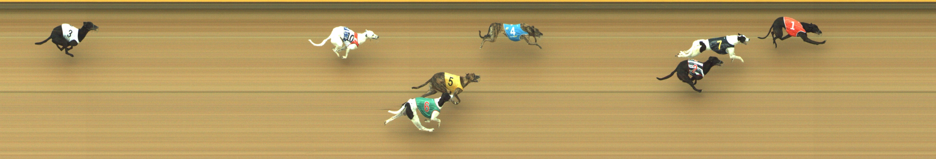 Photo finish for Geelong Race 1