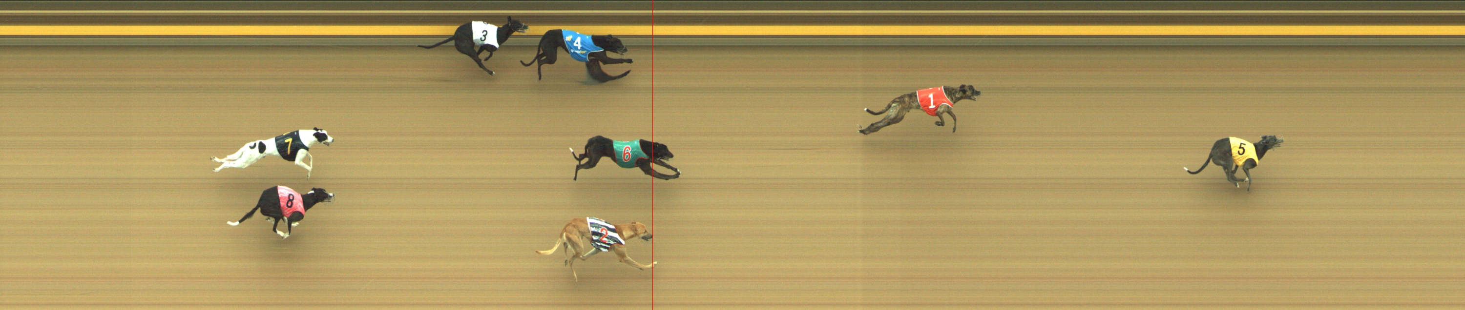 Photo finish for Geelong Race 2