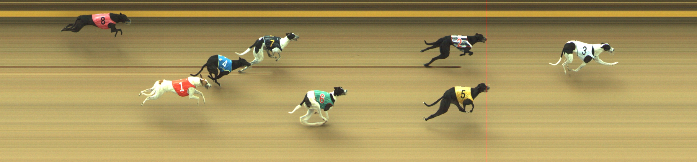 Photo finish for Geelong Race 3